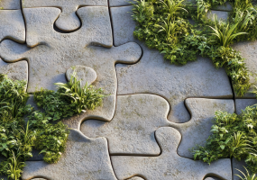 Penantian 18 Tahun, untuk Pulih (belajar dari Lahan Bekas Tambang Kalimantan)  