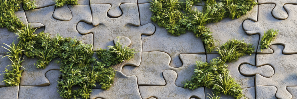 Penantian 18 Tahun, untuk Pulih (belajar dari Lahan Bekas Tambang Kalimantan)  