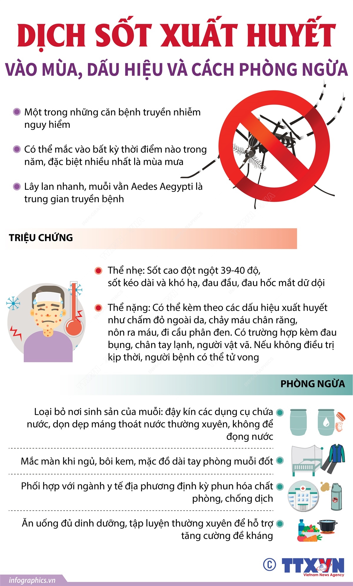 Sốt xuất huyết: triệu chứng và cách phòng bệnh